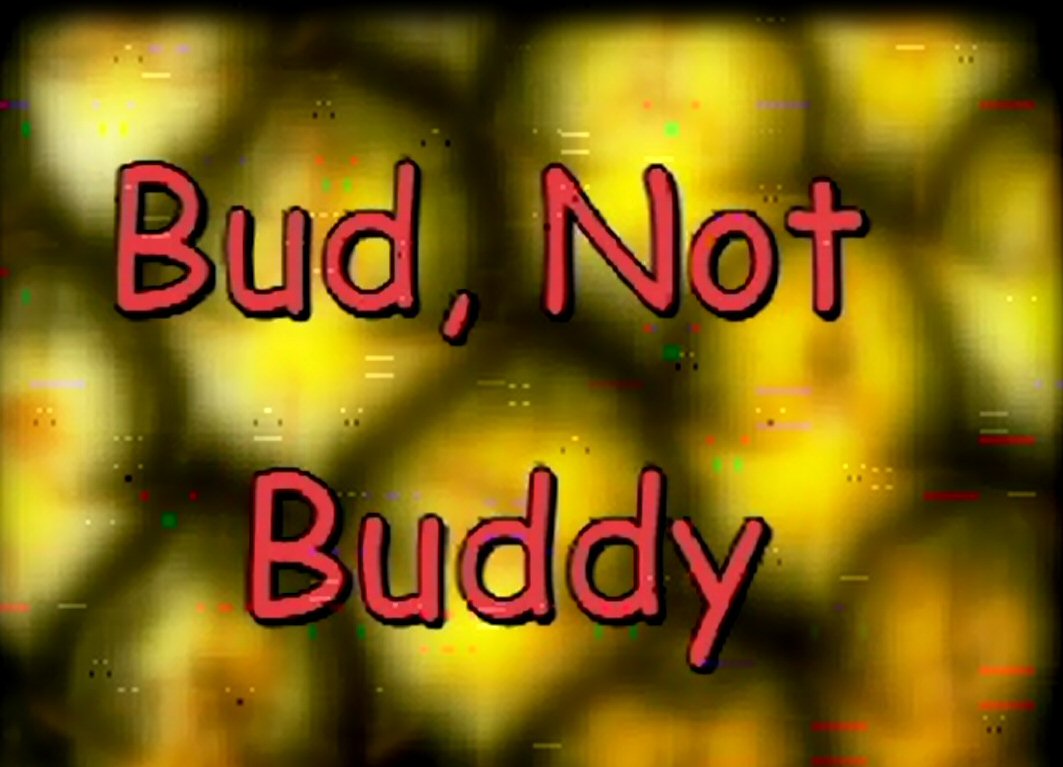 bud not buddy rules